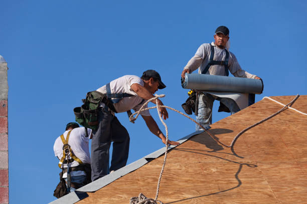 Best New Roof Installation  in Weldon, NC